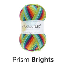 Load image into Gallery viewer, West Yorkshire spinners. Colour lab Dk