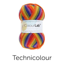 Load image into Gallery viewer, West Yorkshire spinners. Colour lab Dk