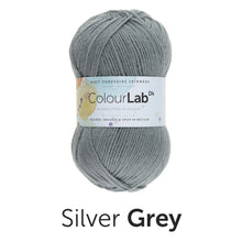 Load image into Gallery viewer, West Yorkshire spinners. Colour lab Dk