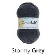 Load image into Gallery viewer, West Yorkshire spinners. Colour lab Dk