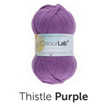 Load image into Gallery viewer, West Yorkshire spinners. Colour lab Dk