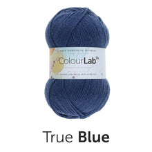 Load image into Gallery viewer, West Yorkshire spinners. Colour lab Dk