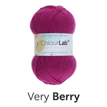 Load image into Gallery viewer, West Yorkshire spinners. Colour lab Dk