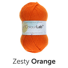 Load image into Gallery viewer, West Yorkshire spinners. Colour lab Dk