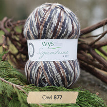 Load image into Gallery viewer, West Yorkshire spinners Country Birds Sock yarn
