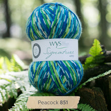 Load image into Gallery viewer, West Yorkshire spinners Country Birds Sock yarn