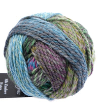 Load image into Gallery viewer, Schoppel Alb Zauber Extra DK