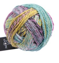 Load image into Gallery viewer, Schoppel Alb Zauber Extra DK