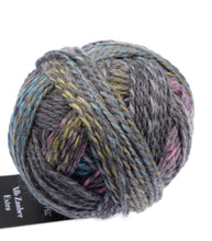 Load image into Gallery viewer, Schoppel Alb Zauber Extra DK