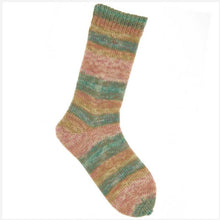 Load image into Gallery viewer, Rico Superba 8ply sockyarn