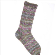 Load image into Gallery viewer, Rico Superba 8ply sockyarn