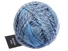 Load image into Gallery viewer, Schoppel Alb Zauber Extra DK