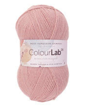 Load image into Gallery viewer, West Yorkshire spinners. Colour lab Dk