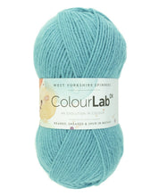 Load image into Gallery viewer, West Yorkshire spinners. Colour lab Dk
