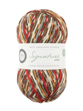 Load image into Gallery viewer, West Yorkshire spinners Country Birds Sock yarn
