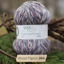 Load image into Gallery viewer, West Yorkshire spinners Country Birds Sock yarn