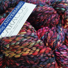 Load image into Gallery viewer, Malabrigo Caracol super Chunky 150g
