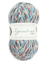 Load image into Gallery viewer, West Yorkshire spinners Country Birds Sock yarn
