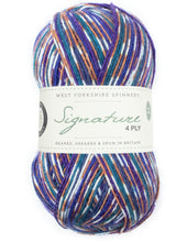 Load image into Gallery viewer, West Yorkshire spinners Country Birds Sock yarn

