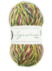 West Yorkshire spinners Country Birds Sock yarn