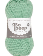 Load image into Gallery viewer, West Yorkshire spinners Bo Peep DK
