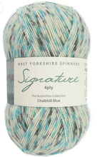 Load image into Gallery viewer, West Yorkshire spinners  Signature  sock yarns
