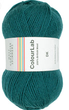 Load image into Gallery viewer, West Yorkshire spinners.  Colour lab Dk
