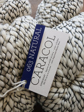 Load image into Gallery viewer, Malabrigo Caracol super Chunky 150g
