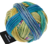 Load image into Gallery viewer, Schoppel- Wolle Wool Sisters DK 50g
