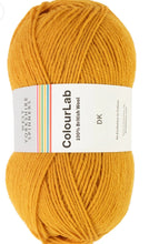 Load image into Gallery viewer, West Yorkshire spinners.  Colour lab Dk
