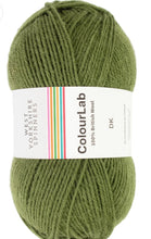 Load image into Gallery viewer, West Yorkshire spinners.  Colour lab Dk
