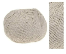 Load image into Gallery viewer, Supergarne Organic Silk blend 50g
