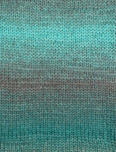 Load image into Gallery viewer, West Yorkshire Spinners.  Retreat Twist. Chunky

