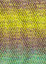 Load image into Gallery viewer, West Yorkshire Spinners.  Retreat Twist. Chunky
