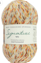 Load image into Gallery viewer, West Yorkshire spinners  Signature  sock yarns
