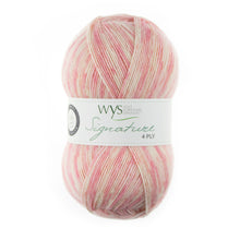 Load image into Gallery viewer, West Yorkshire spinners  Signature  sock yarns

