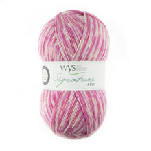 Load image into Gallery viewer, West Yorkshire spinners  Signature  sock yarns
