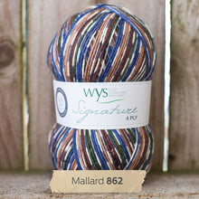 Load image into Gallery viewer, West Yorkshire spinners Country Birds Sock yarn
