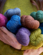 Load image into Gallery viewer, West Yourksire Spinners Bluefaced Leicester Fleece DK
