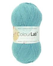 Load image into Gallery viewer, West Yorkshire spinners.  Colour lab Dk
