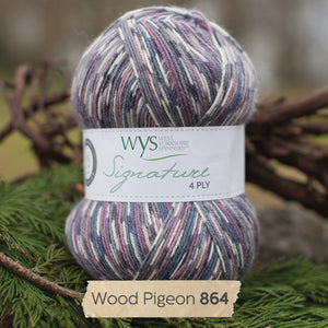 West Yorkshire spinners Country Birds Sock yarn
